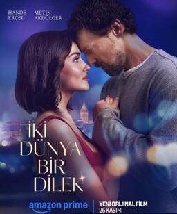 两个世界一个愿望