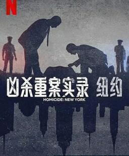 凶杀重案实录：纽约