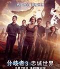分歧者3：忠诚世界