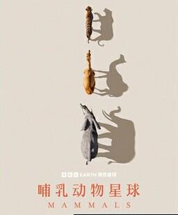 哺乳动物星球