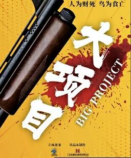 大项目