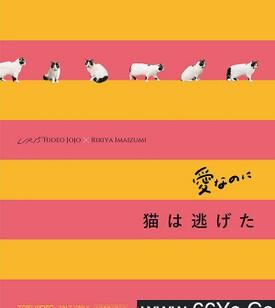 尽管爱