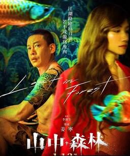 山中森林