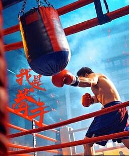 我是拳手