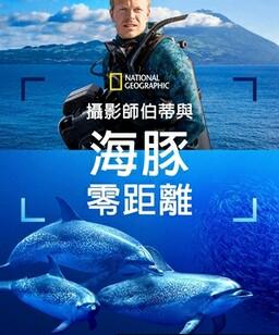 摄影师贝尔蒂与海豚零距离