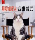 最爱喵星人：我猫威武