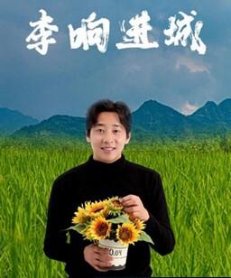 李响进城