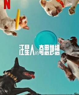汪星人的奇思妙想