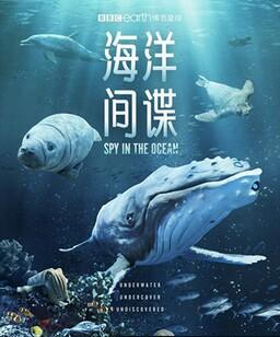 海洋间谍