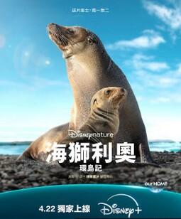 海狮利奥环岛记