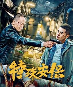 特殊安保