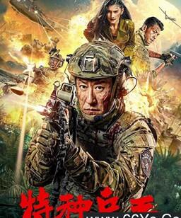 特种兵王之原子核爆