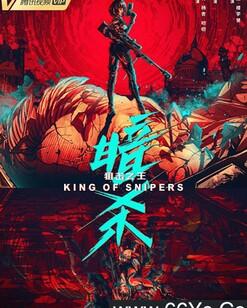 狙击之王：暗杀