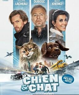 猫狗大乱斗