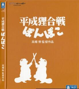 百变狸猫