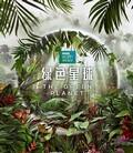 绿色星球