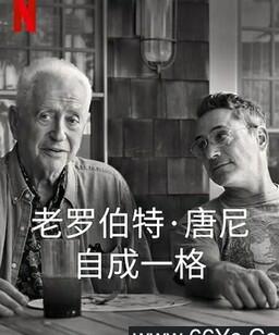 罗伯特・唐尼：自成一格