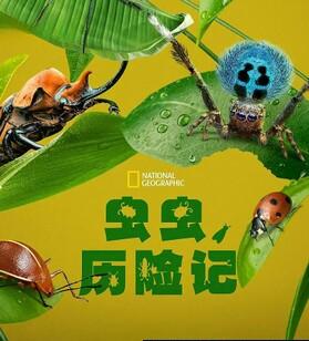 虫虫历险记[2季全]