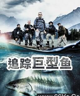 追踪巨型鱼