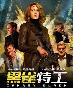 黑雀特工