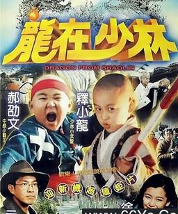 龙在少林