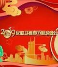 2019安徽卫视春节联欢晚会